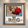 Best Dog Ever Photo Frame Kit