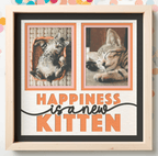 Happiness Is a New Kitten Photo Frame - The Caring Creative