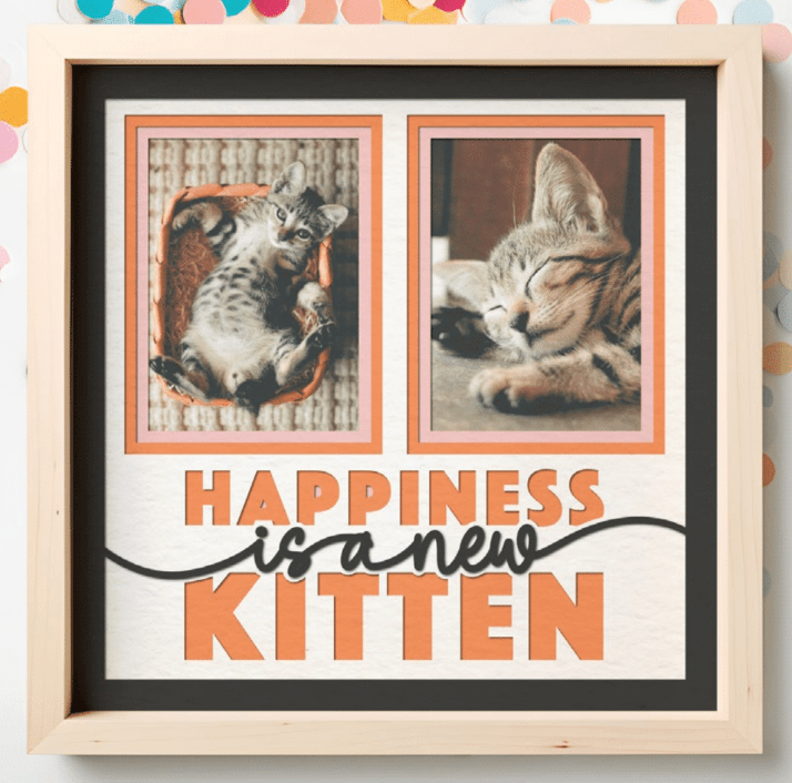 Happiness Is a New Kitten Photo Frame - The Caring Creative