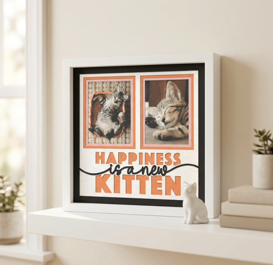 Happiness Is a New Kitten Photo Frame - The Caring Creative